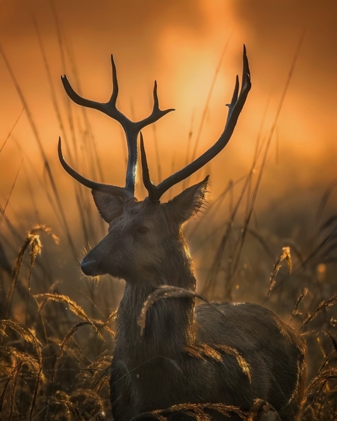 Go to Pravin Shinde's profile