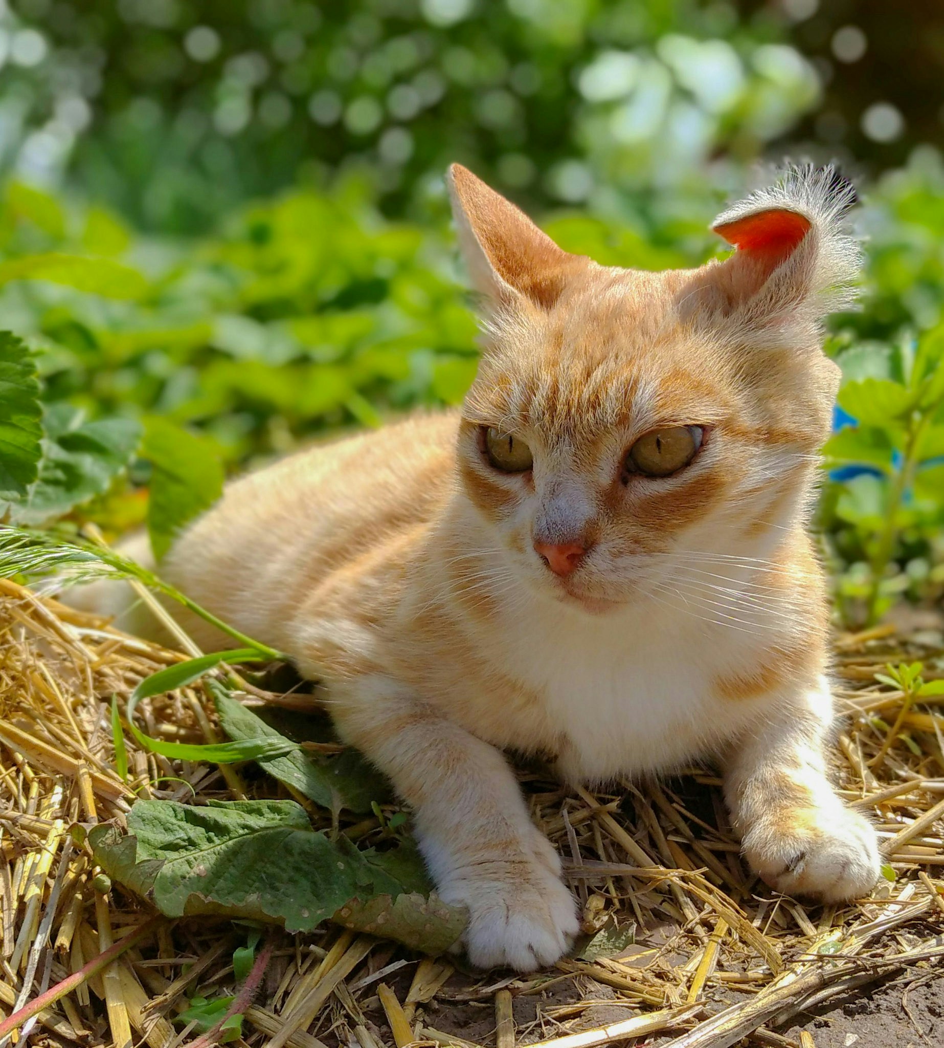 Go to Lana's profile