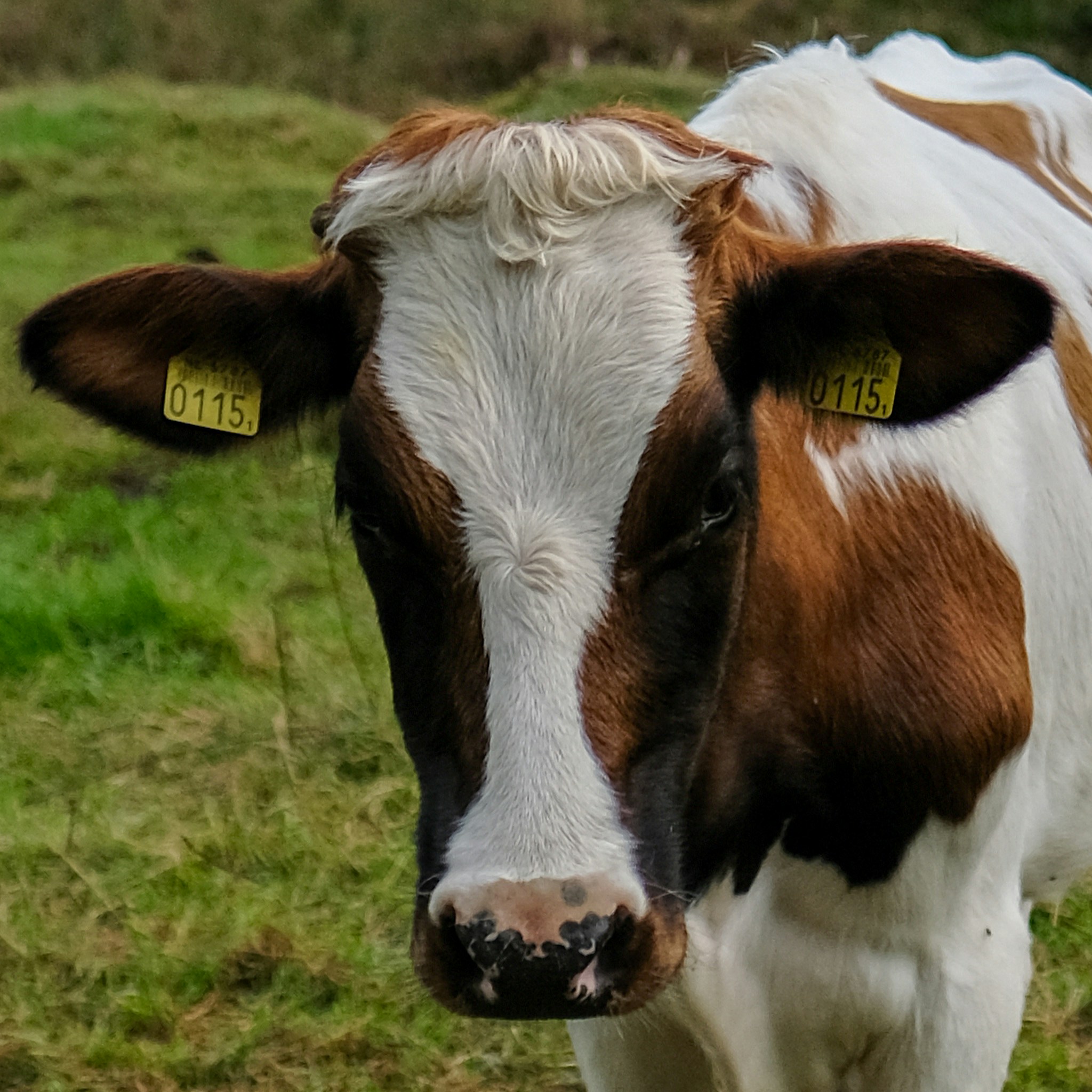 Go to Haberdoedas II's profile