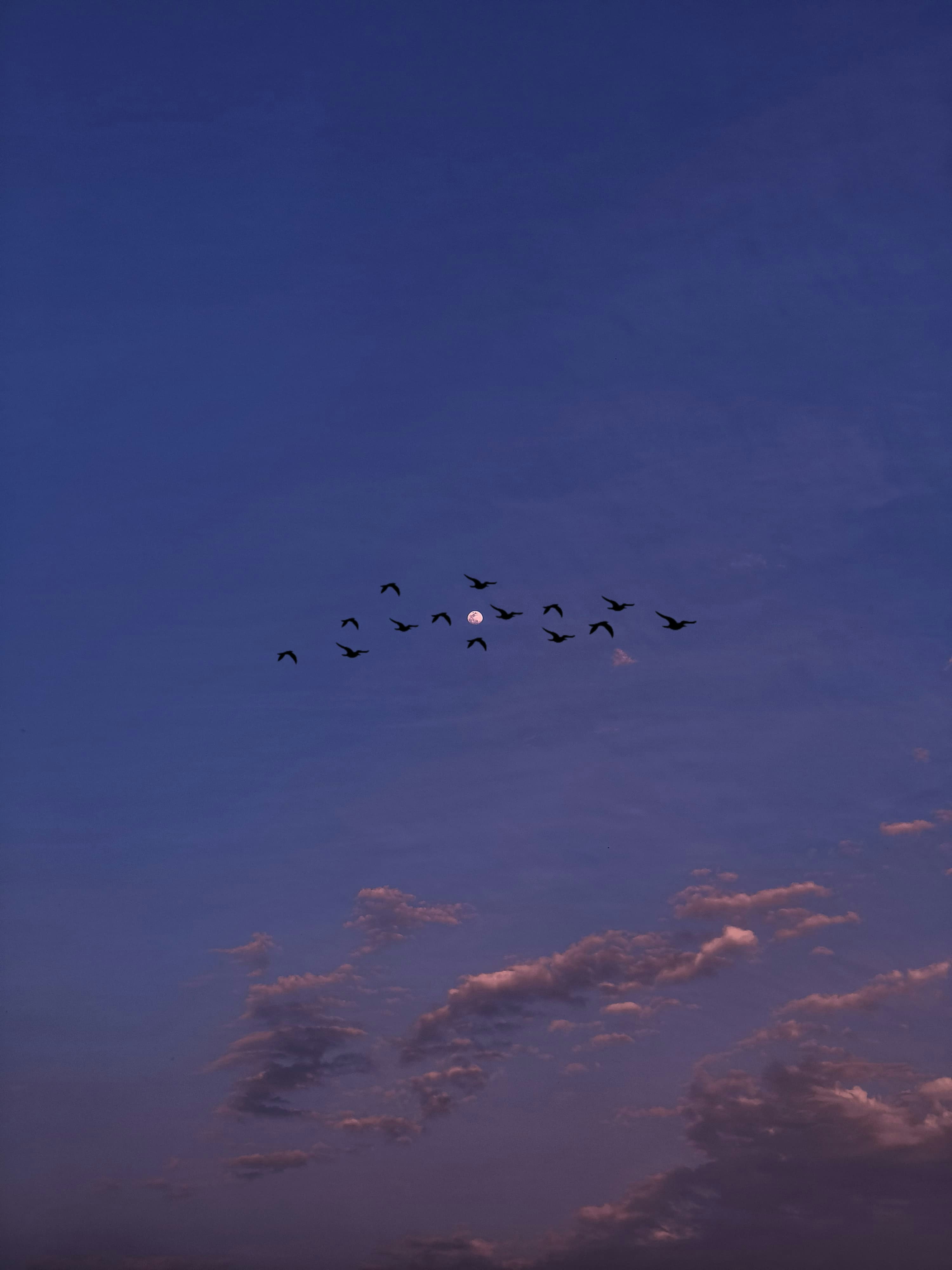 Go to Abhishek's profile