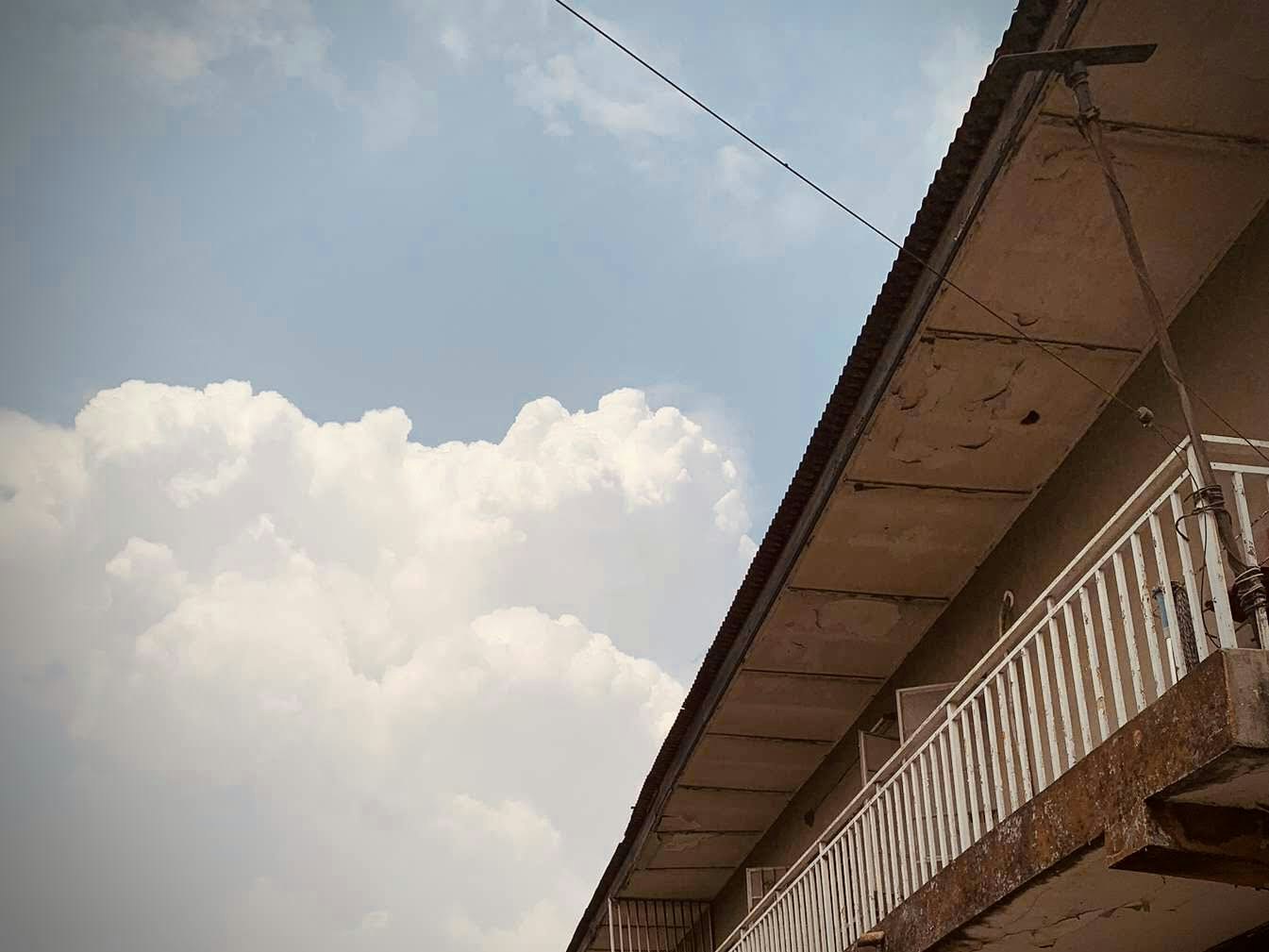 Go to Dawn MP's profile