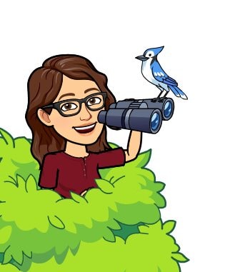 Go to Nadine Eggenberger's profile