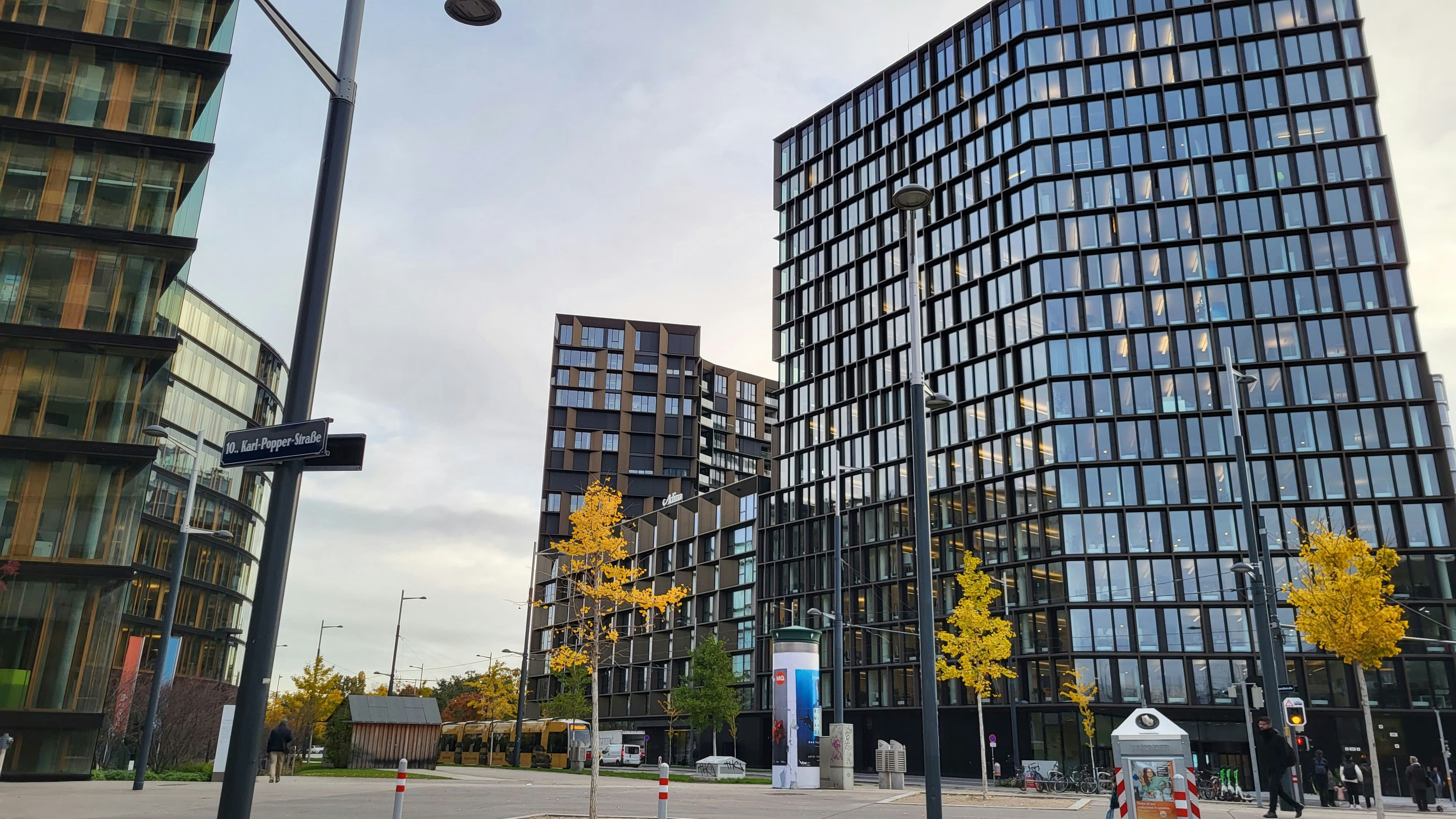 Go to Viktoriia Muzyka's profile