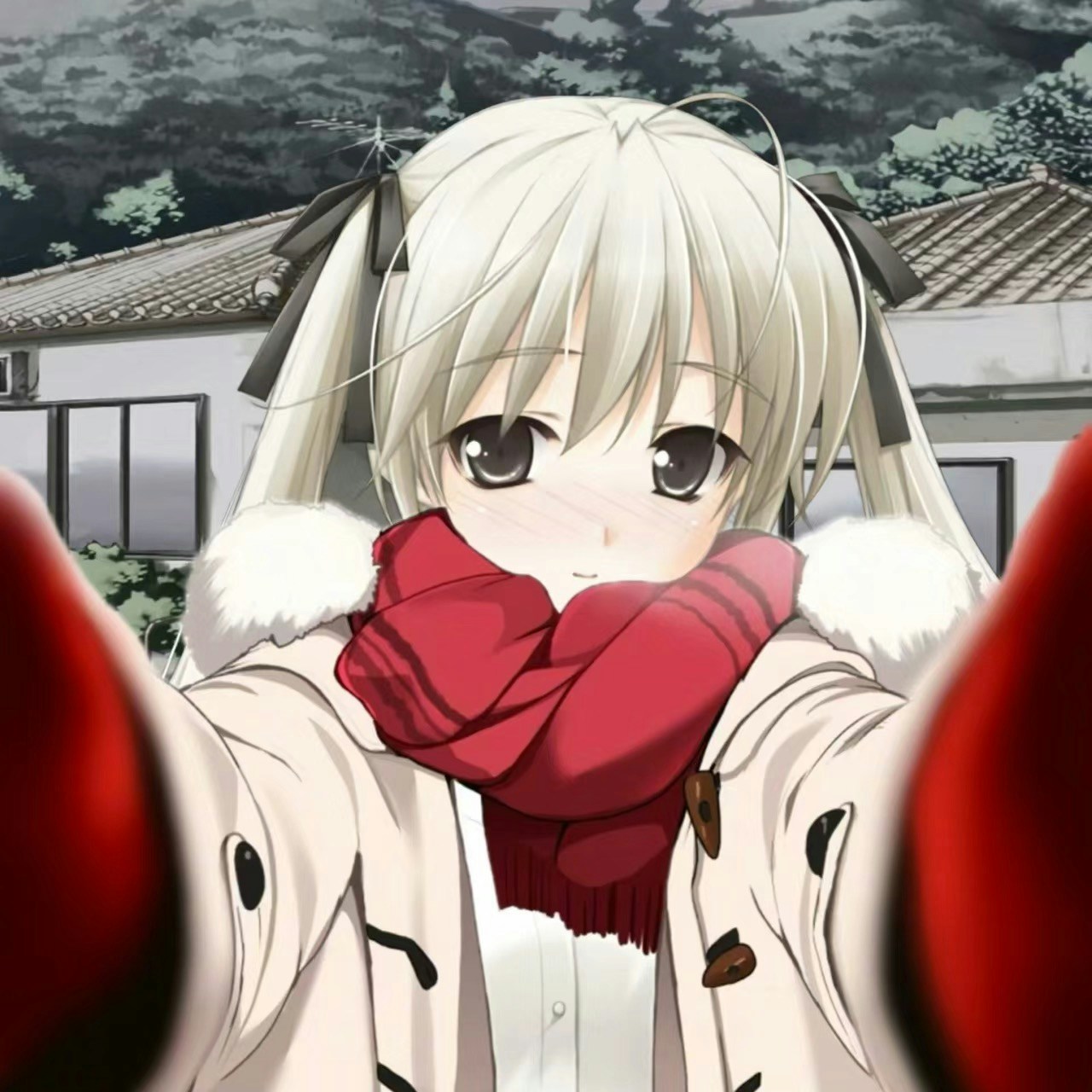 Avatar of user 刘 土豆