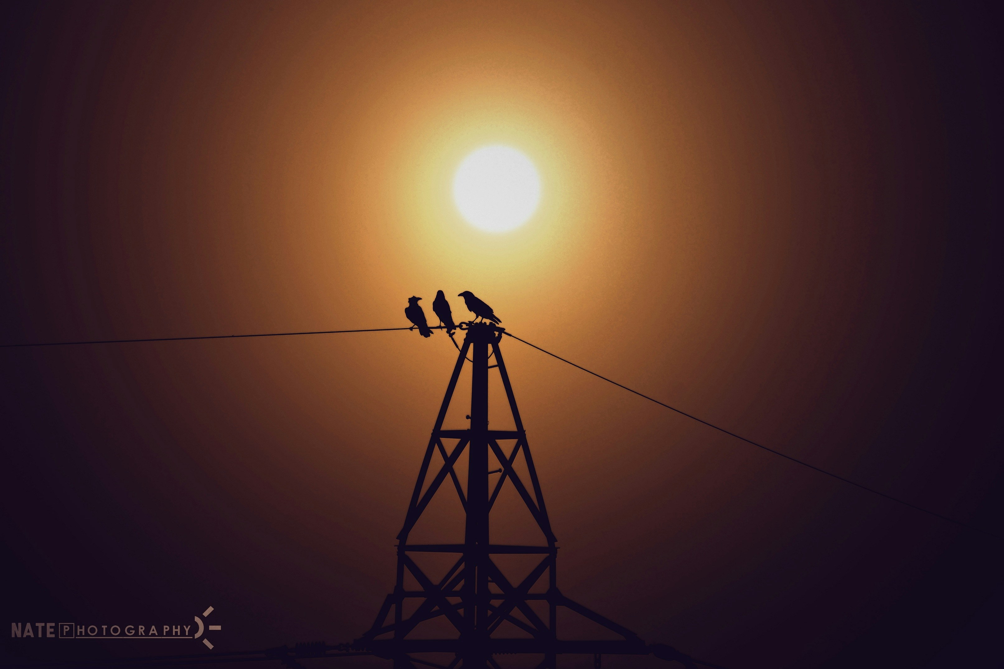 Go to Nathaniel Tetteh's profile