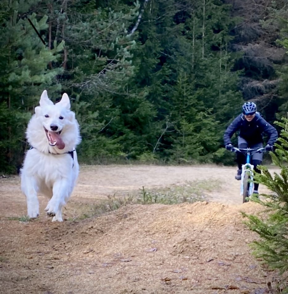 Go to Victor Rubiks's profile