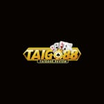 Avatar of user Taigo88 wiki