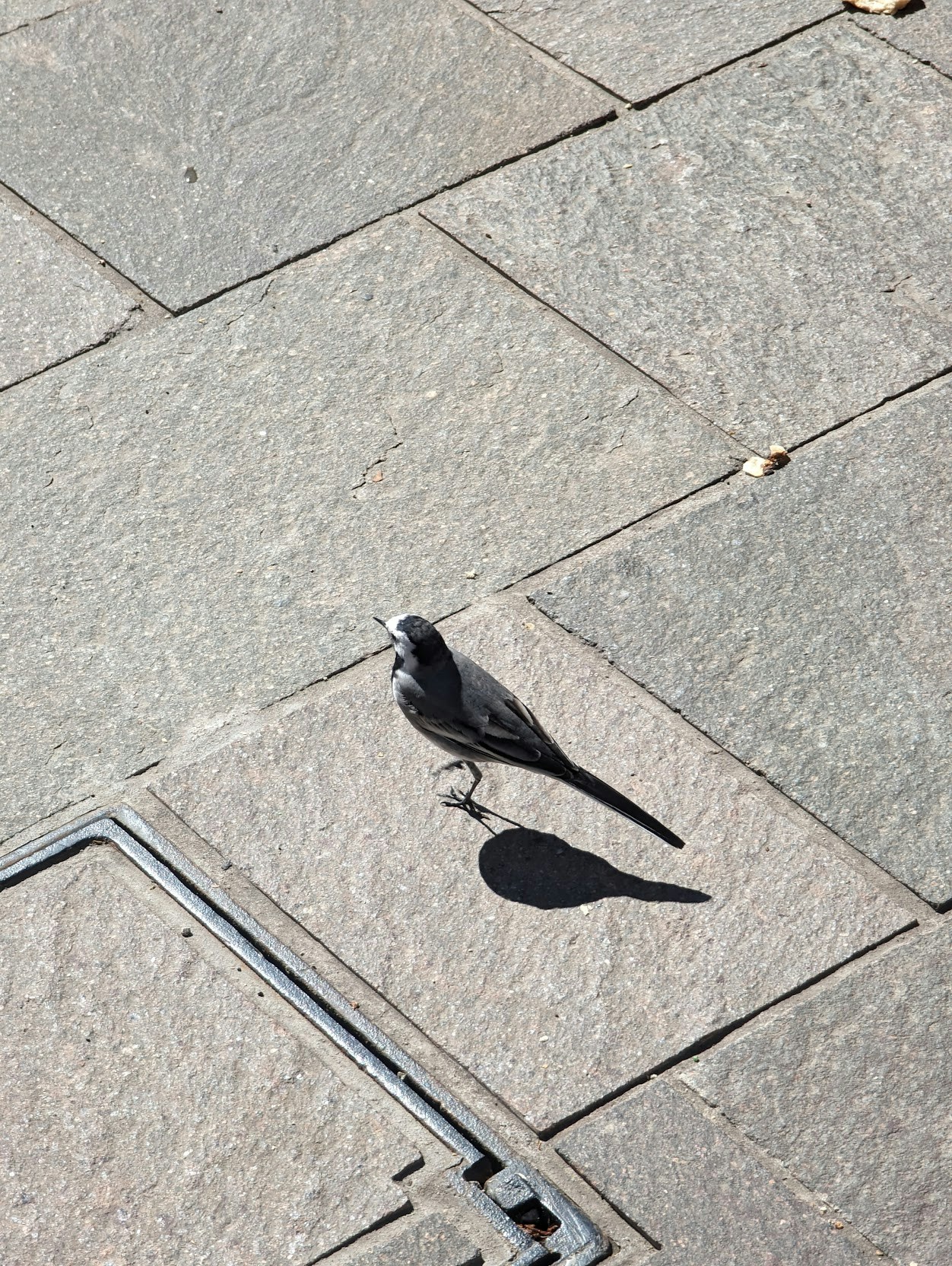 Go to Juan Pablo's profile