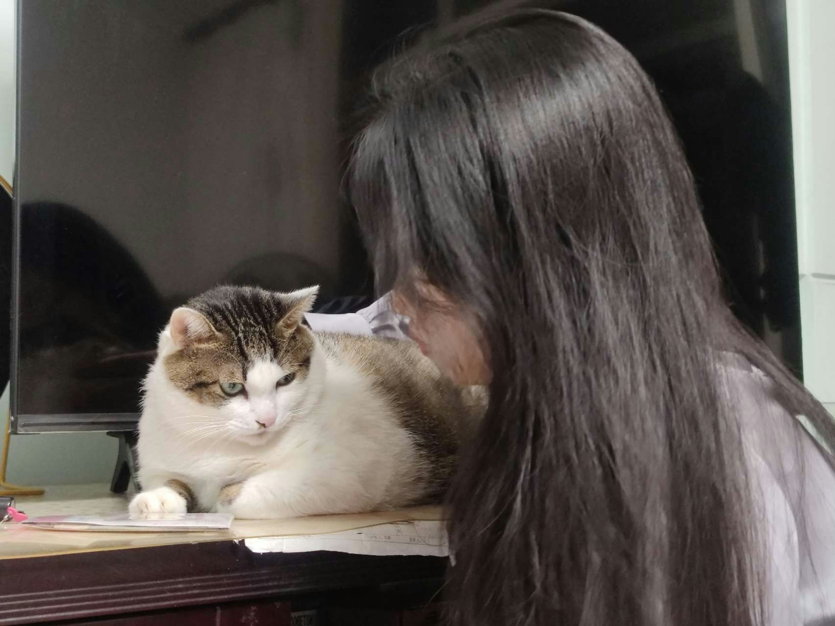 Zum Profil von Yue Ruan