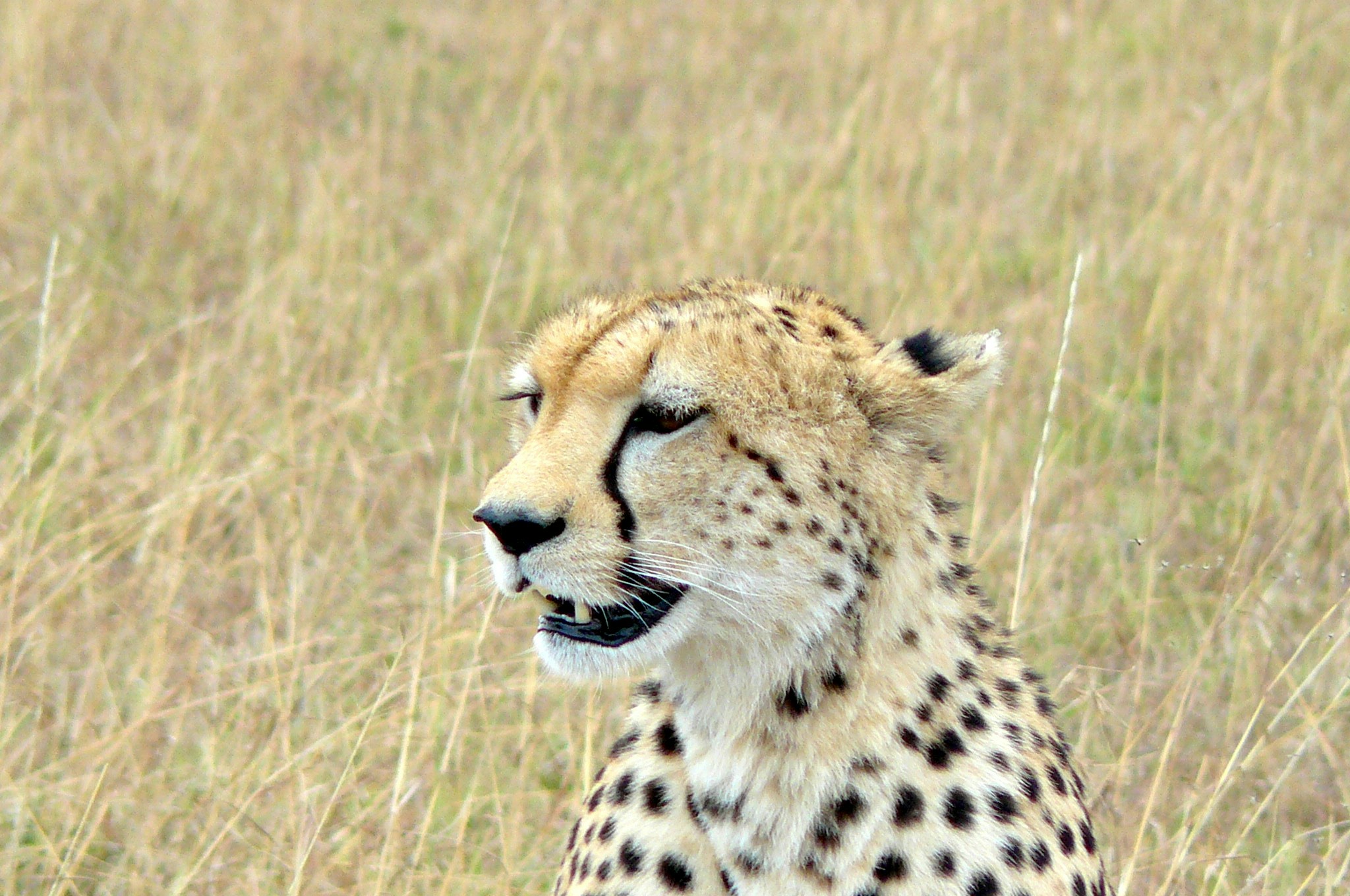 Go to Robinson Kamau's profile