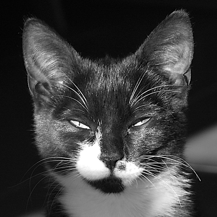 Avatar of user acubarry