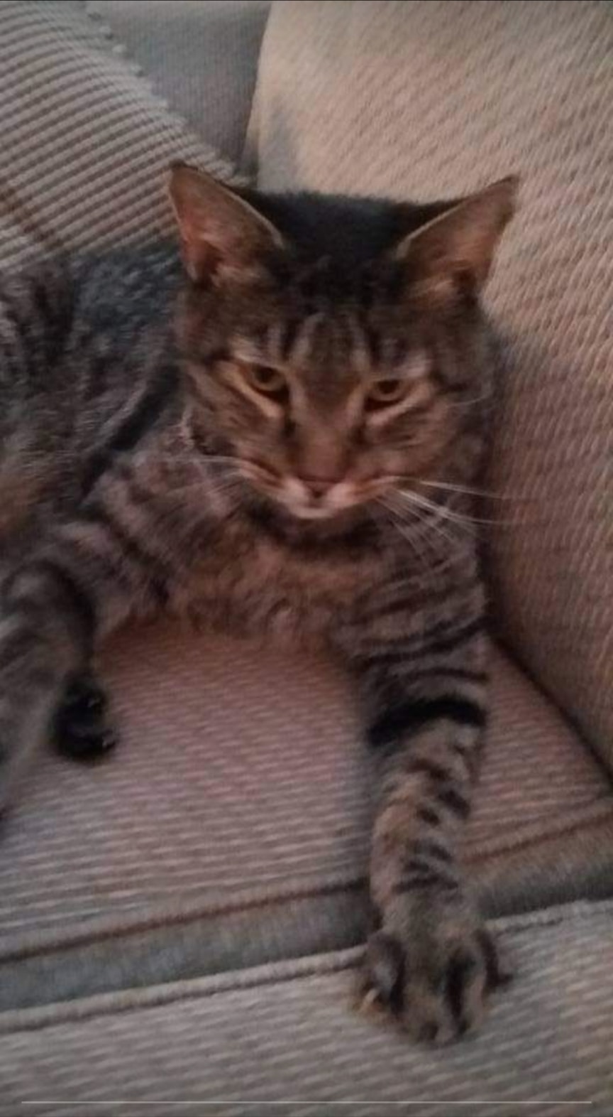 Go to Noah Martinez's profile