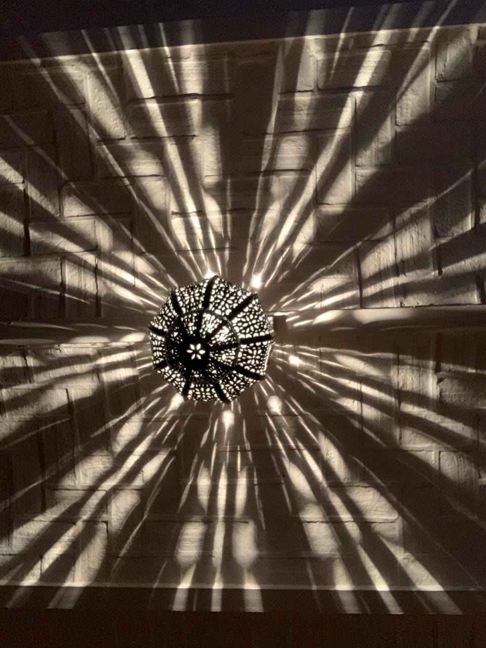 Go to Ocean Wahl's profile