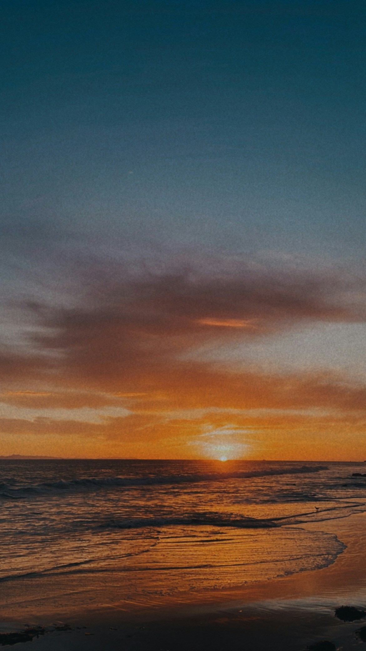 Go to Ashlee Brown's profile