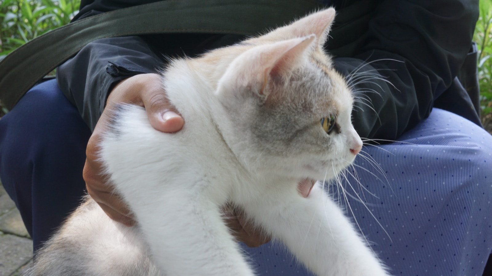 Go to Fuzeexyz's profile