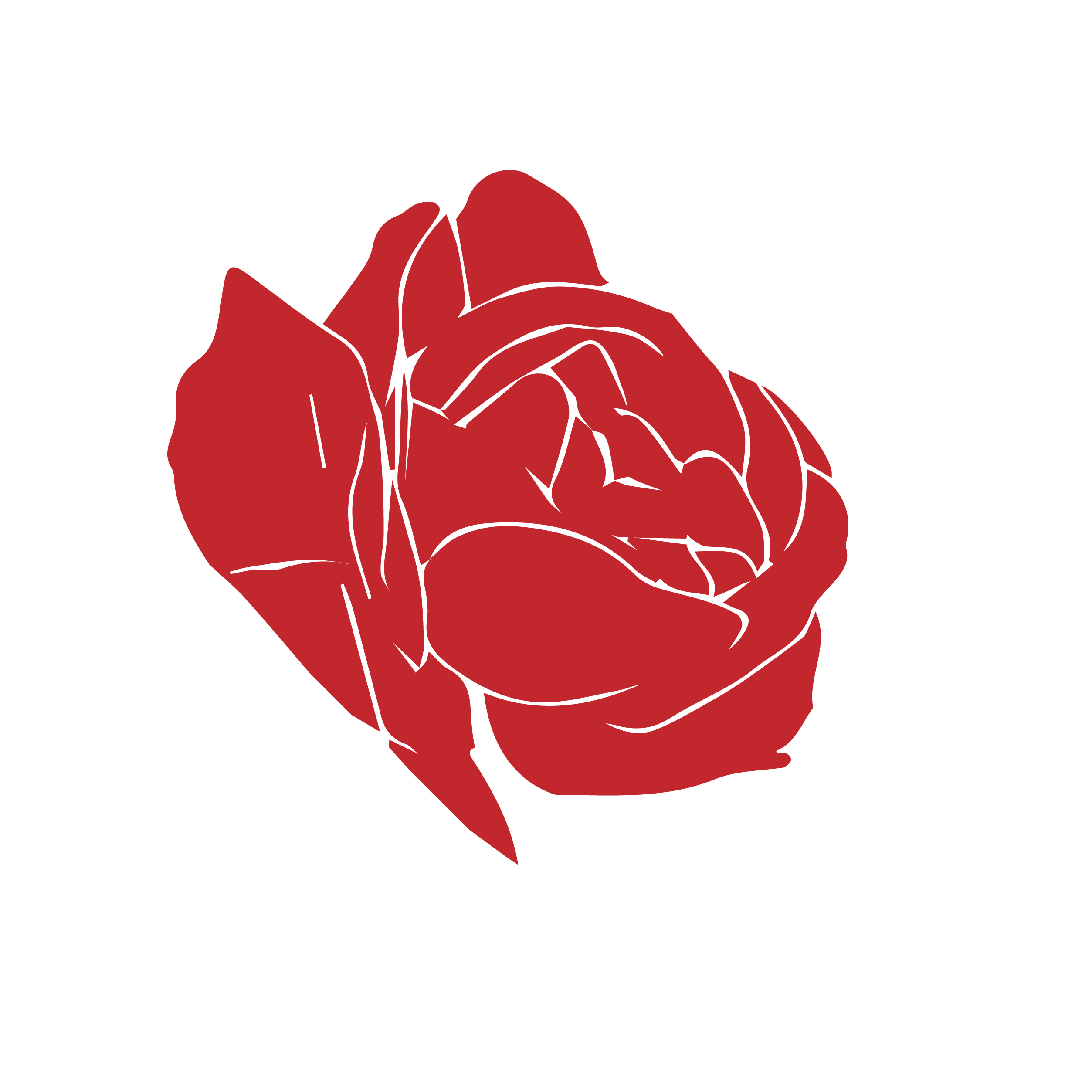 Zum Profil von Joseph Pillado