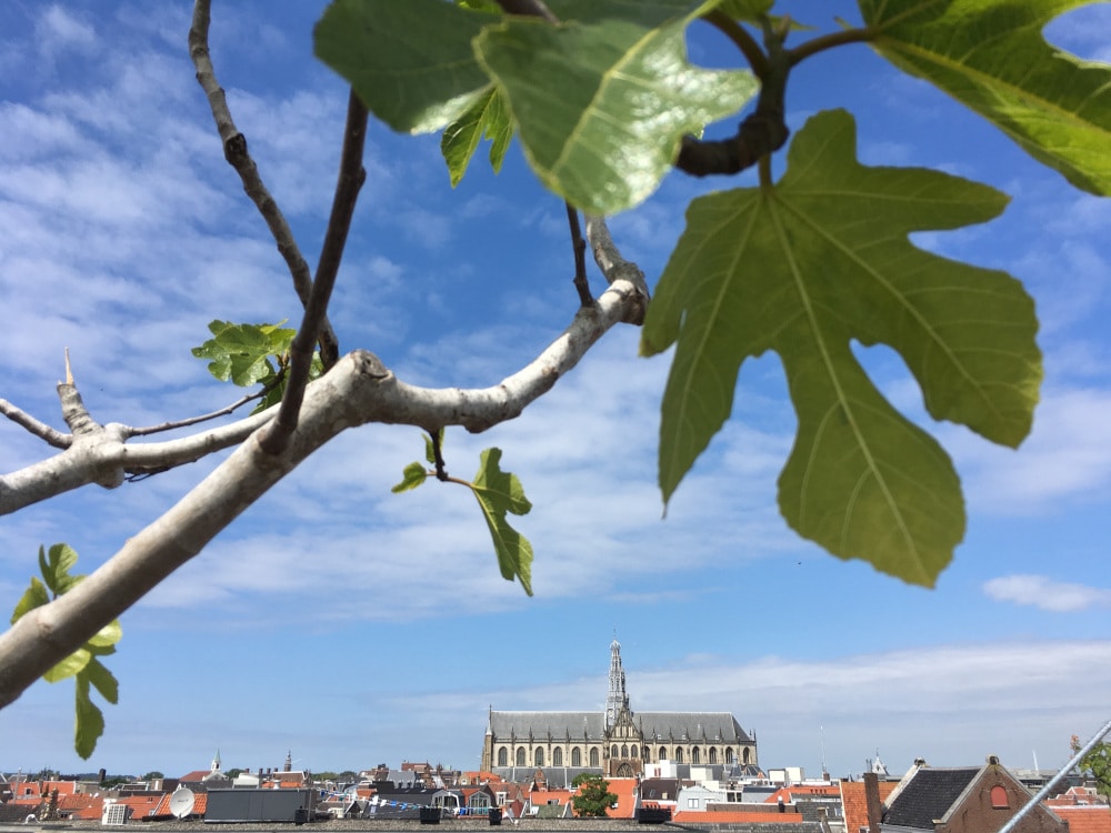 Go to Redactie Wattedoenin.nl's profile