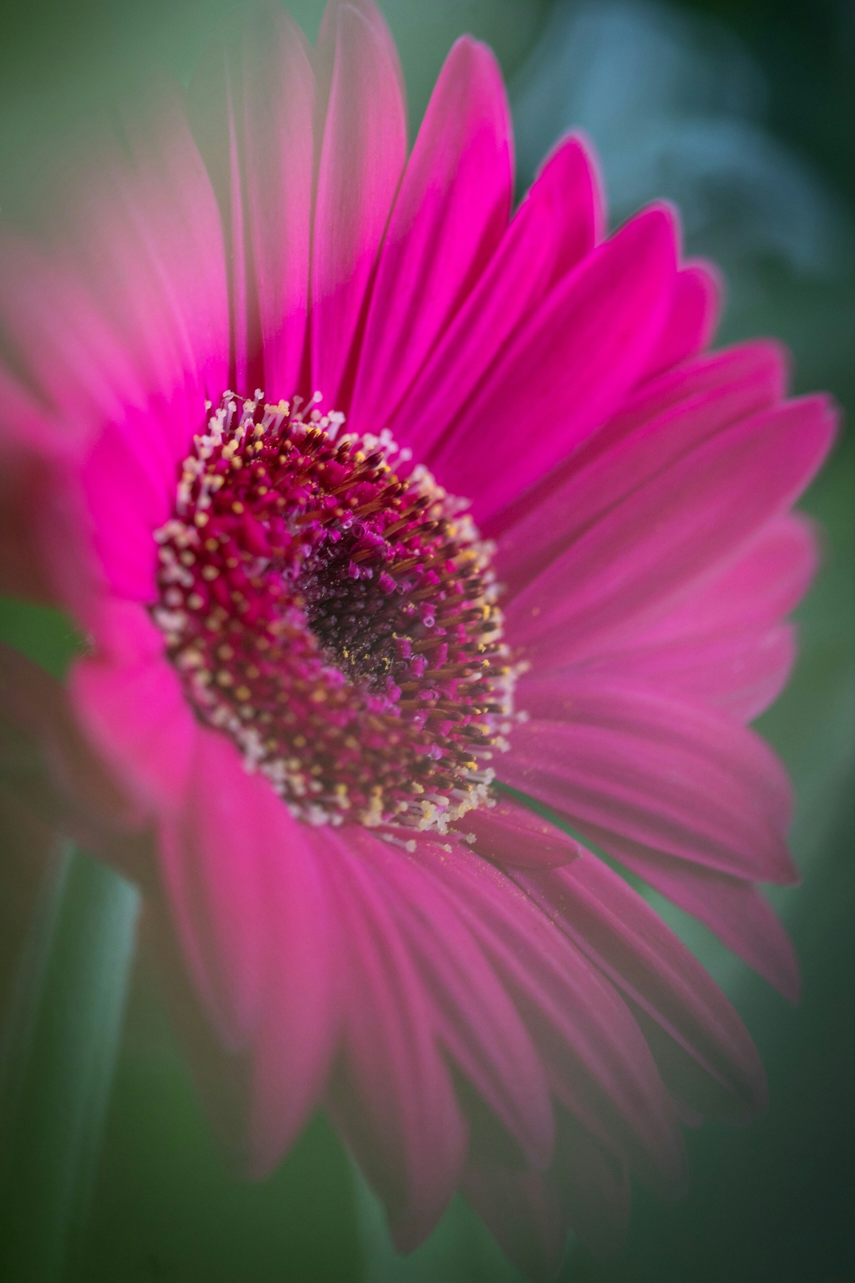 Go to Bruno Litaldi's profile