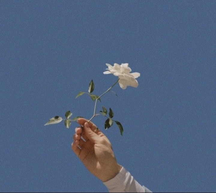 Avatar of user anndre br