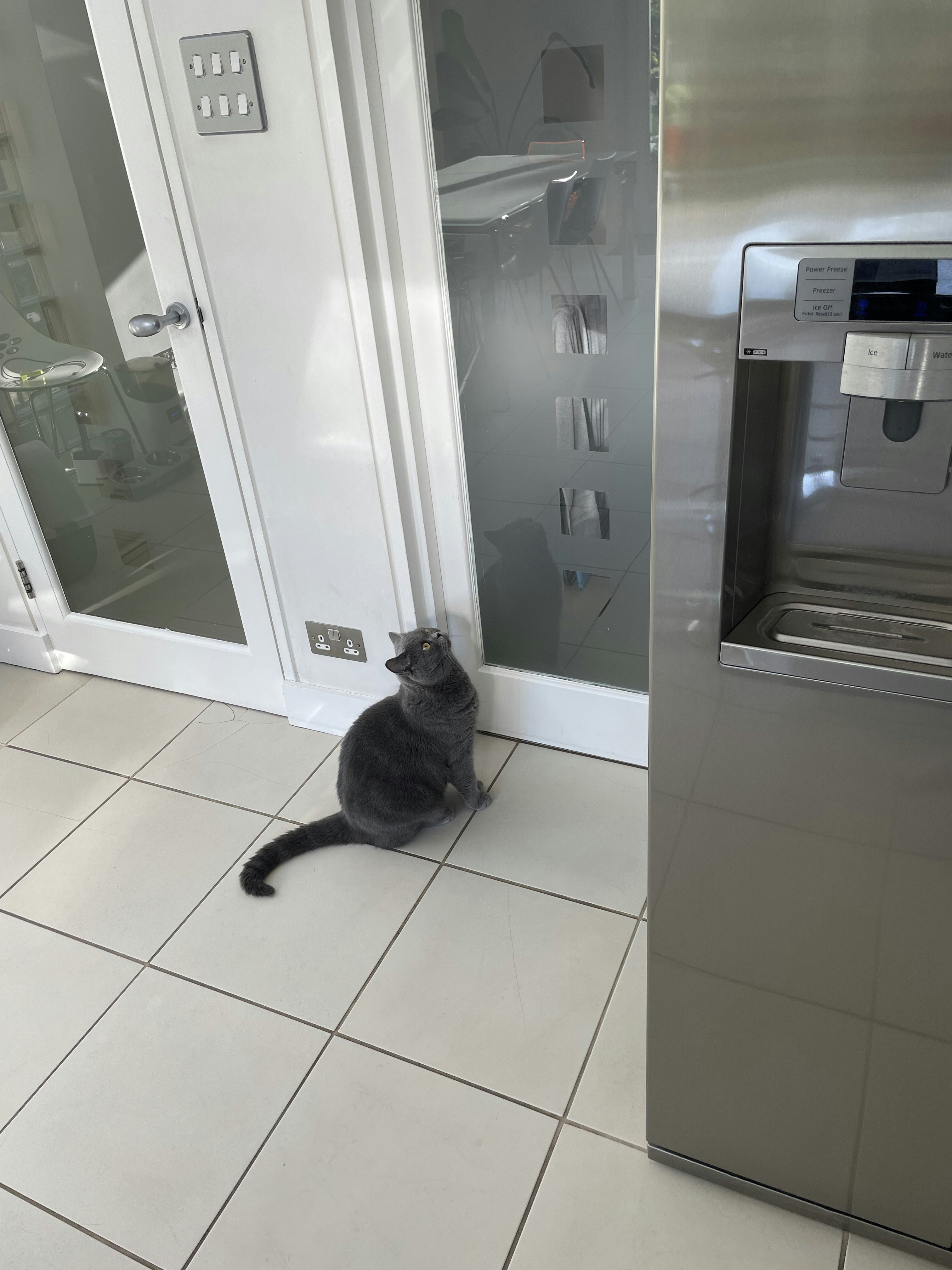 Go to Lydia's profile