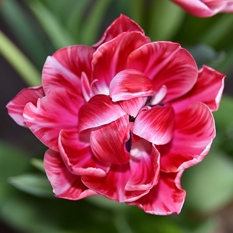 Go to Werner Hilversum's profile