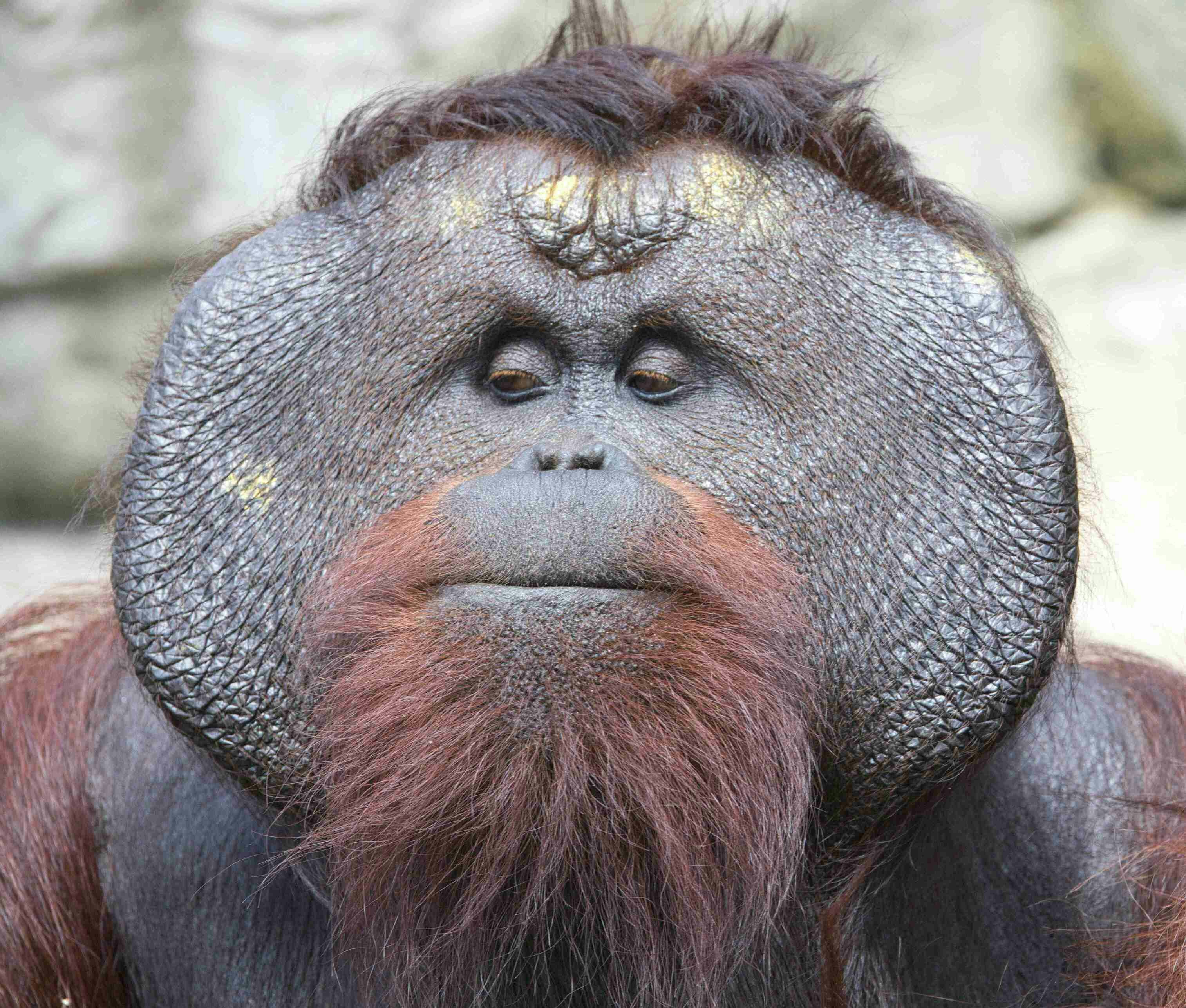 Go to David Valentine's profile