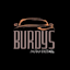 Avatar of user Burdy's Detail