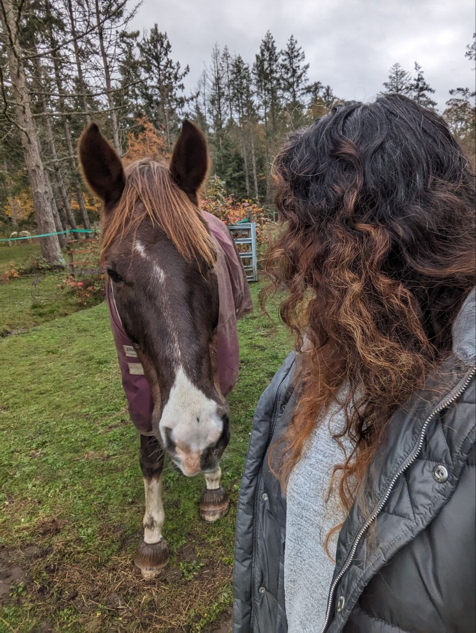 Chandni Danのプロフィールを見る