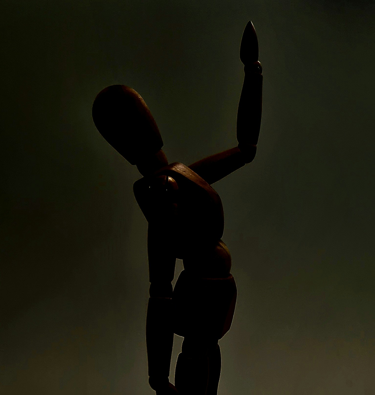 Vai al profilo di Sakina Faisal