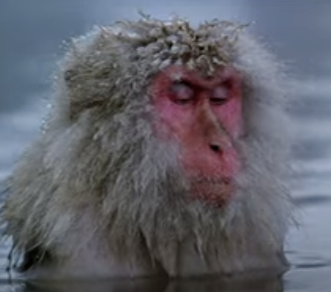 Go to Kieran's profile