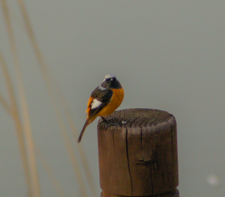 jay leeのプロフィールを見る