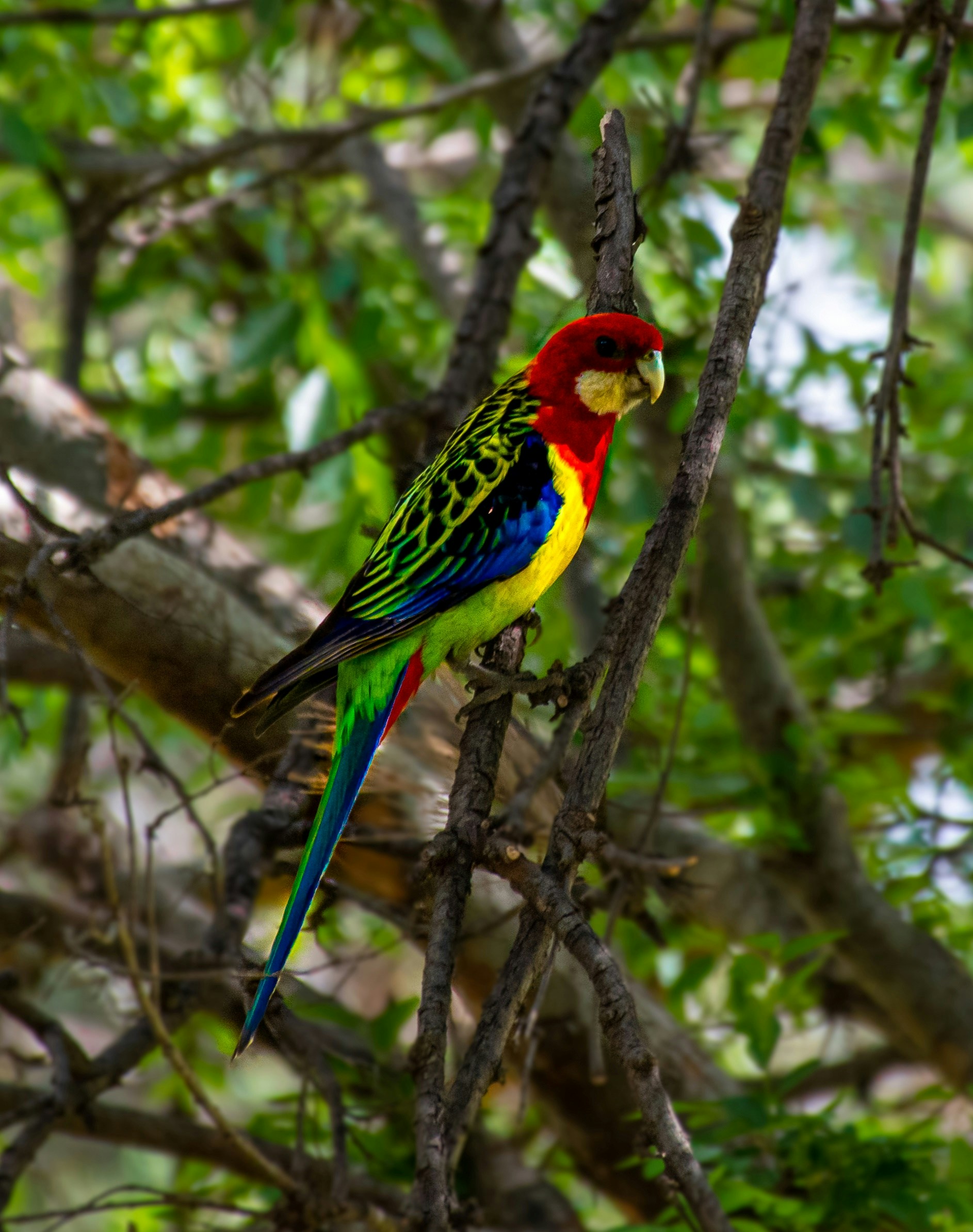 Go to Adam Skrinnikoff's profile