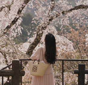 Go to Elizabeth Mary's profile