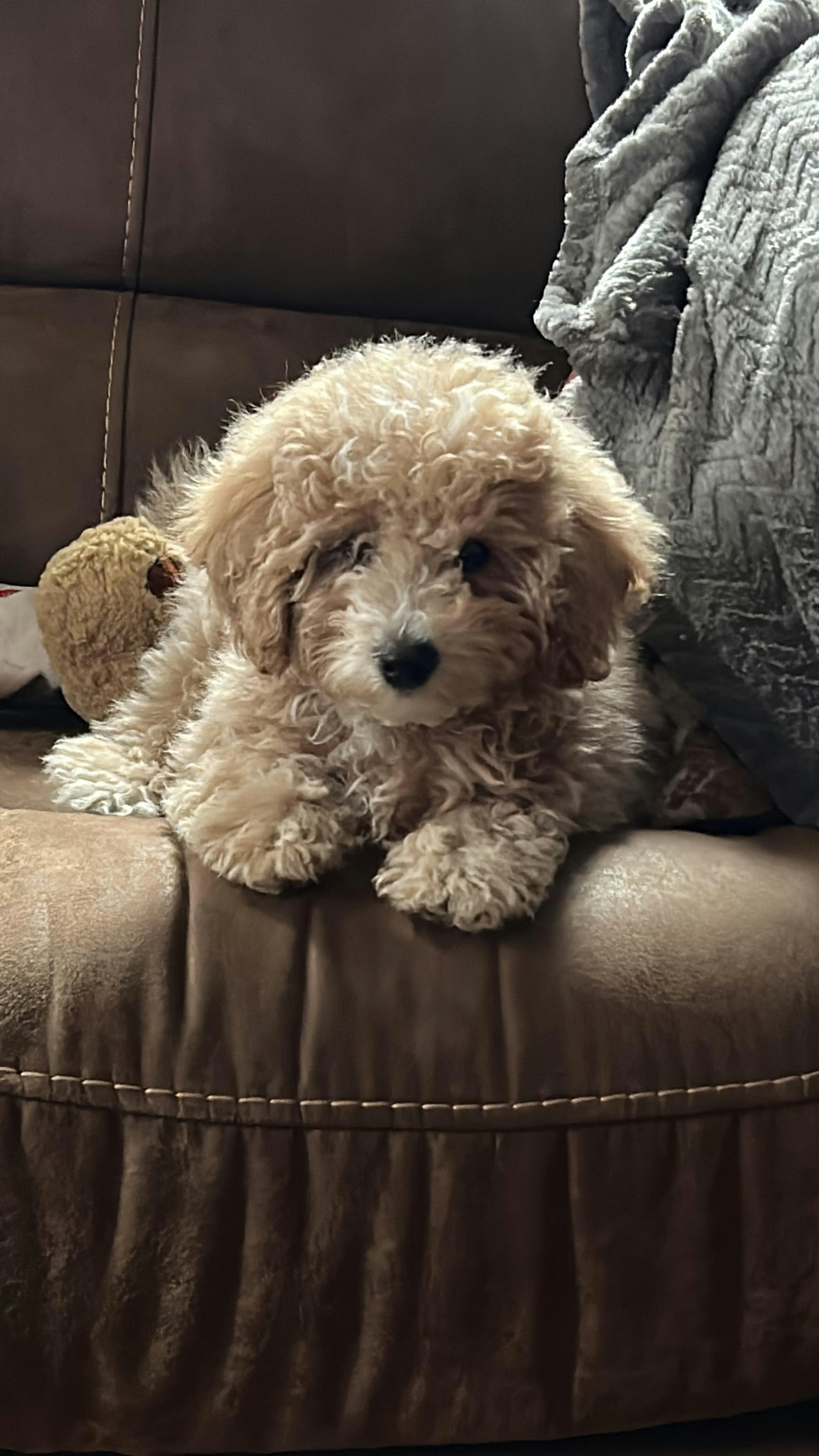 Go to Bobby Bouvier's profile