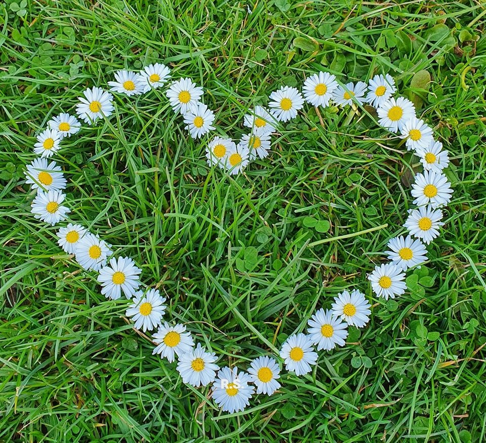 Go to Ruža B.'s profile