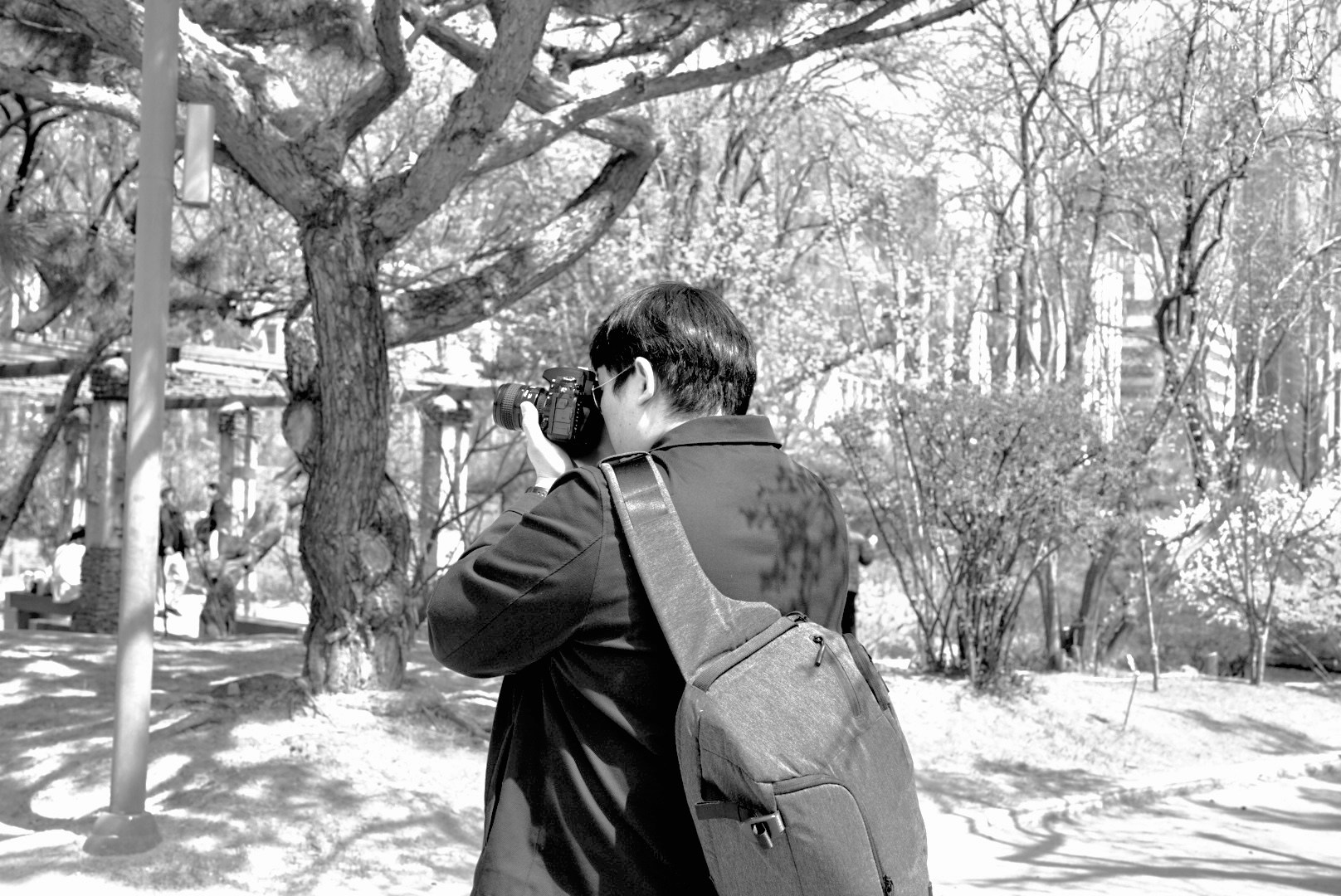 Go to Ray Kim's profile