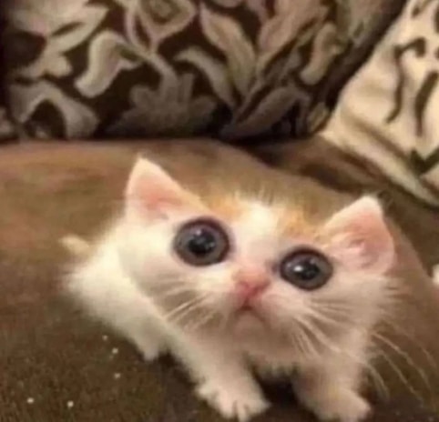 Go to joejo joestar's profile