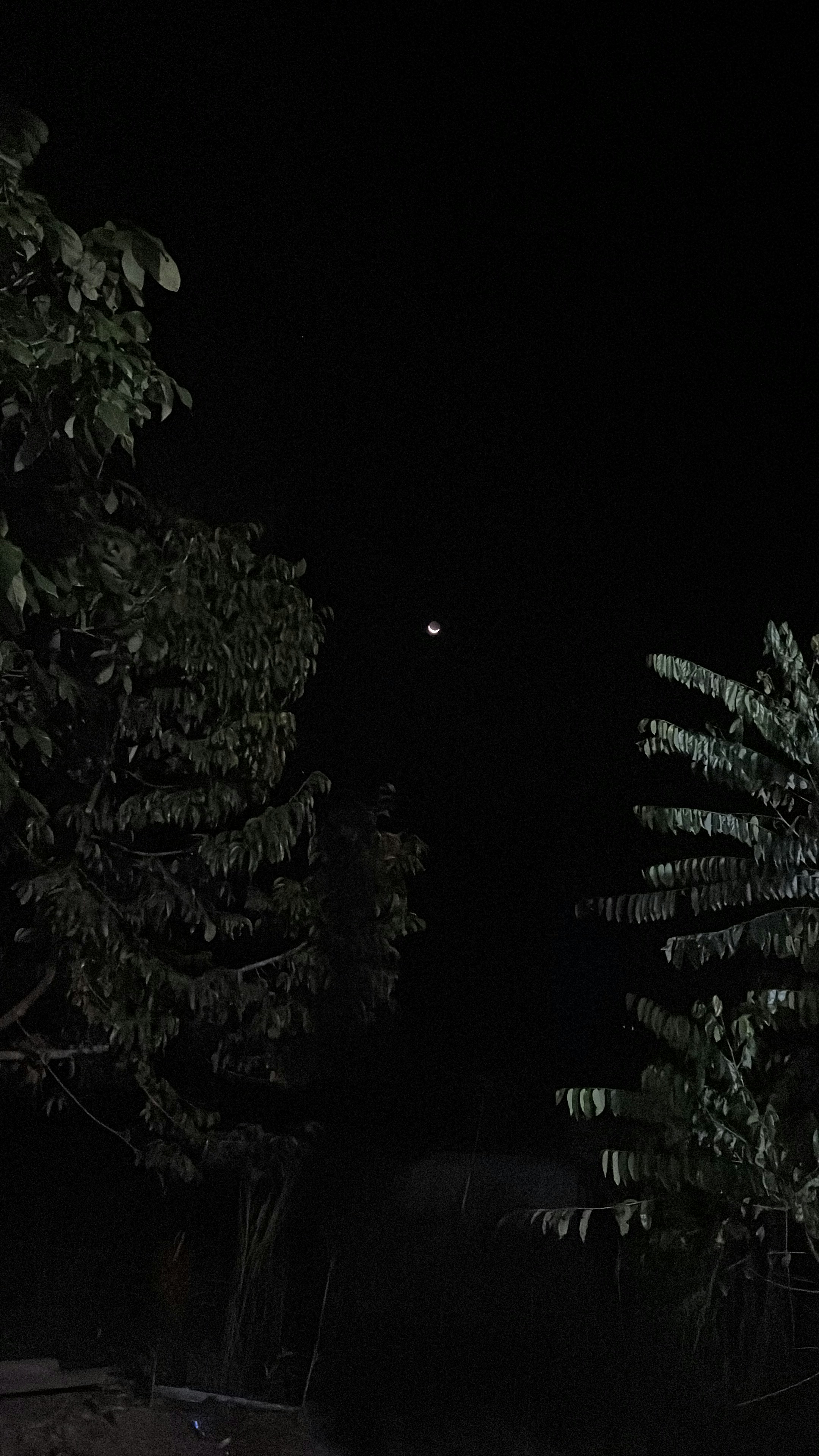 Ve al perfil de elkaa f