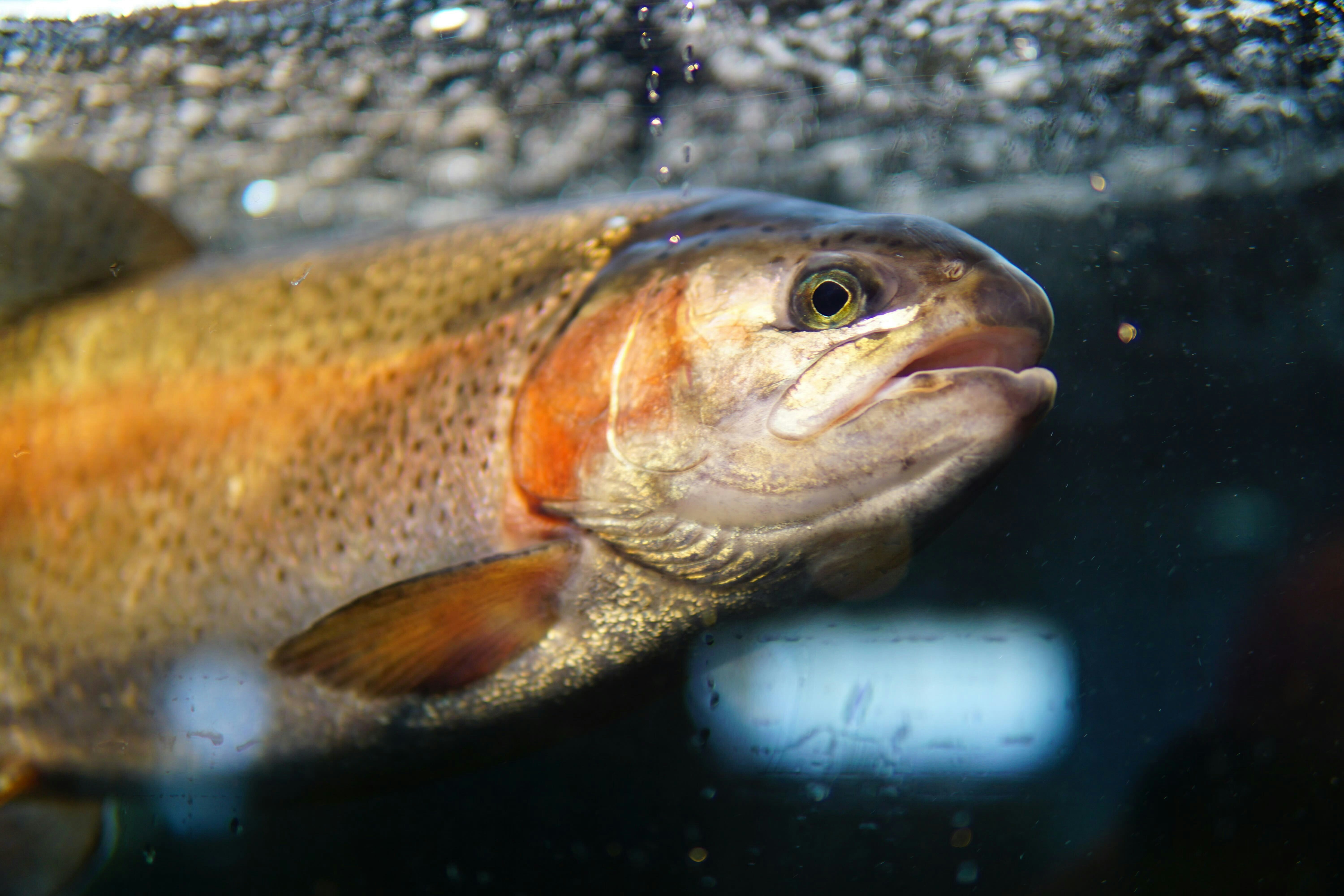 Go to Sam Lu's profile