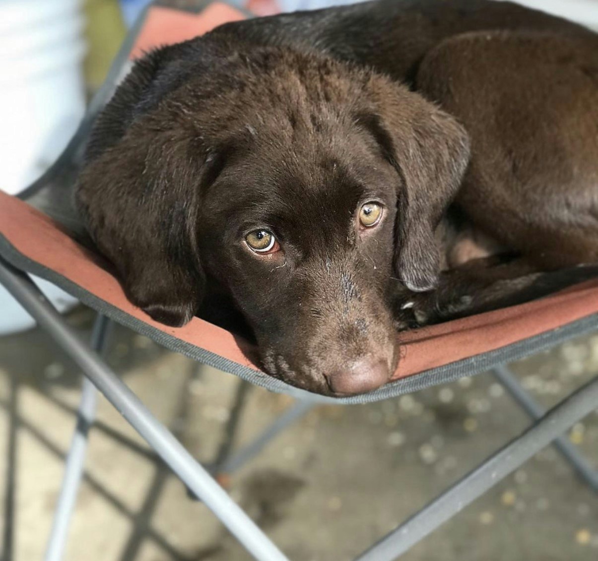 Go to Stacey Hayden's profile