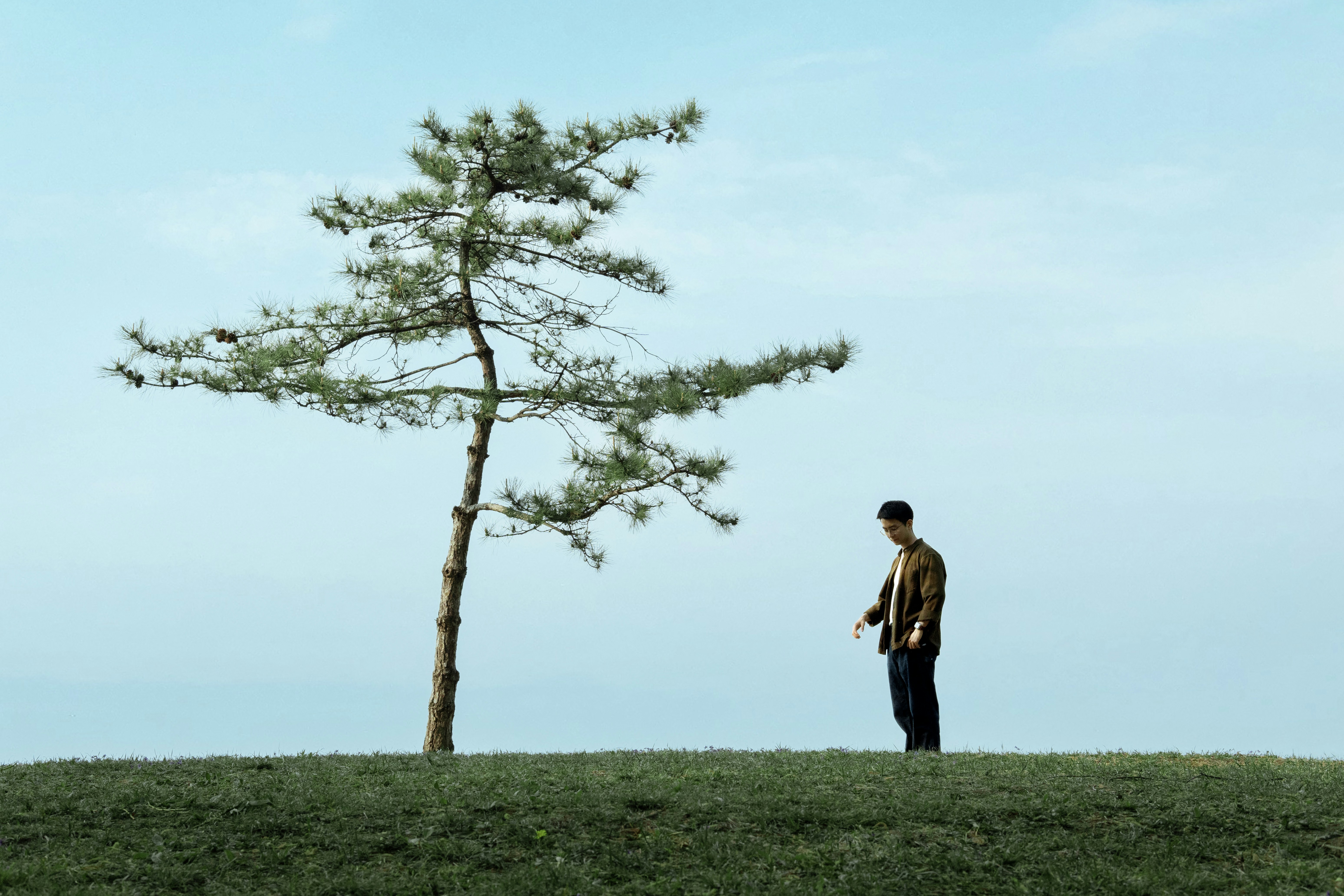 Avatar of user Arvin Yuan