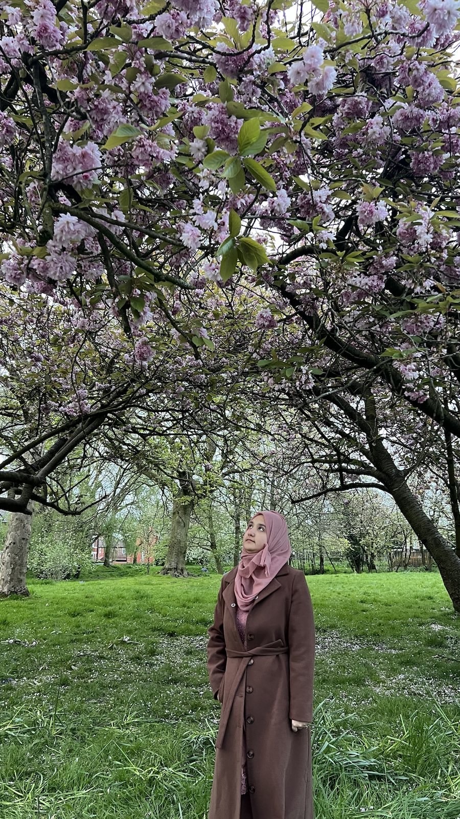 Go to Aershey Khan's profile