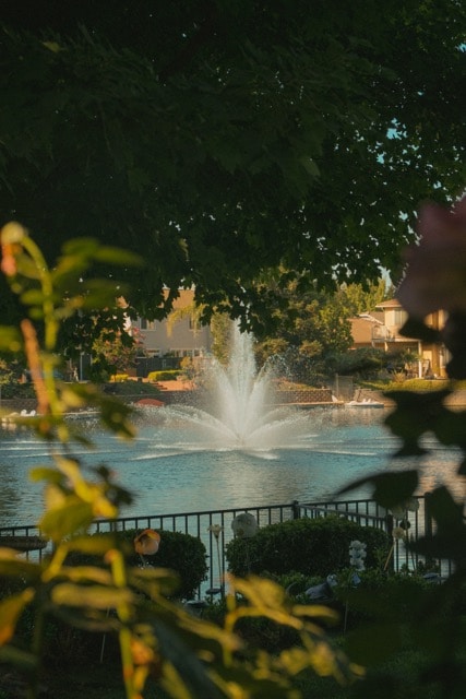 Go to fruitfullmedia's profile