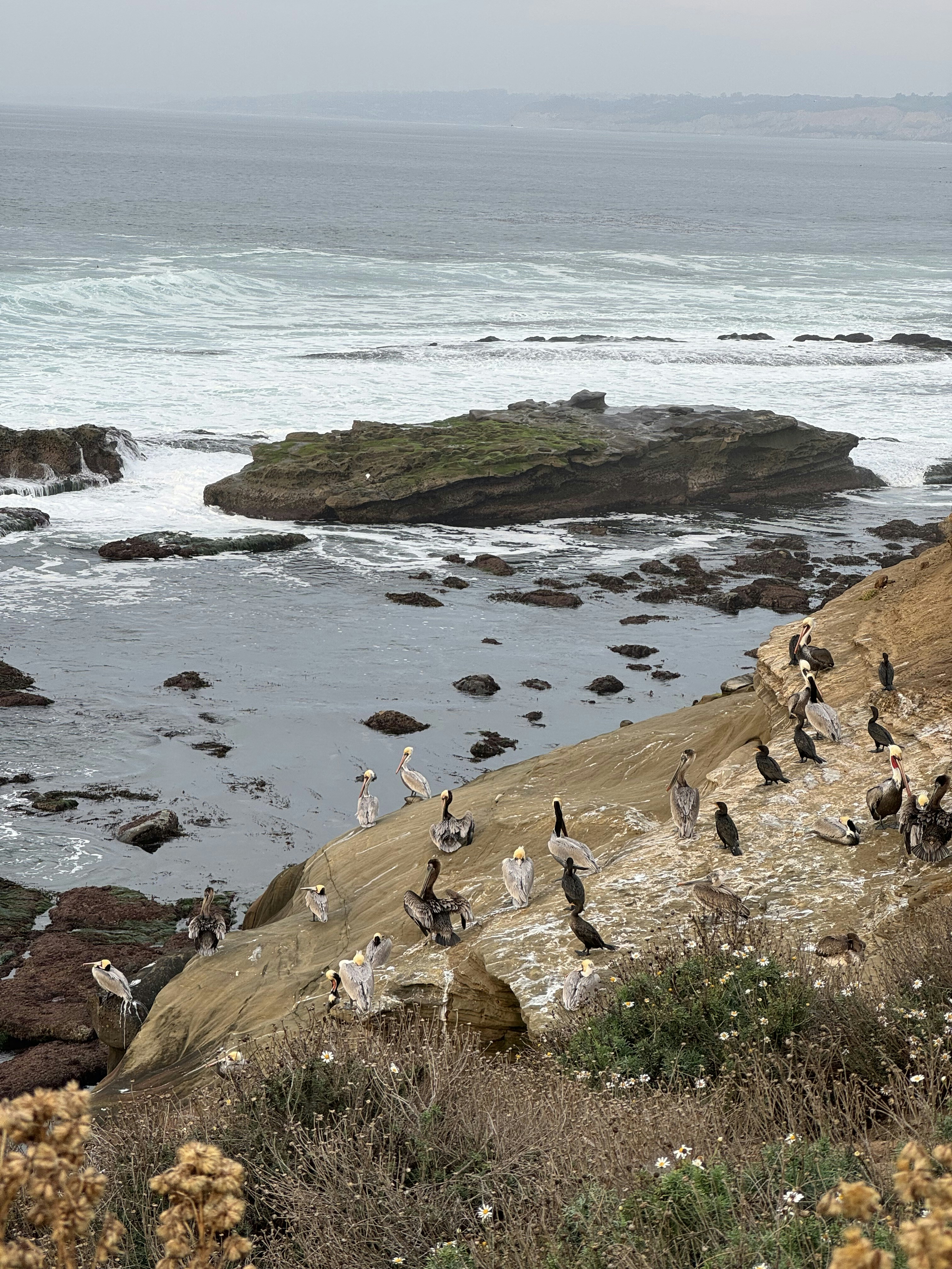 Ve al perfil de Preston