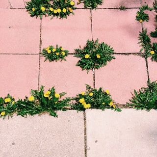 Zum Profil von ORNELLA BINNI