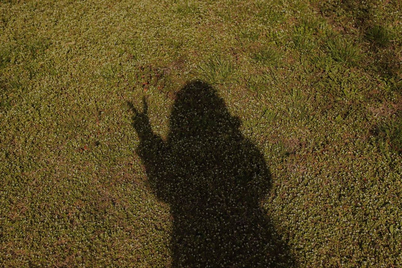 Ve al perfil de Lika Yer