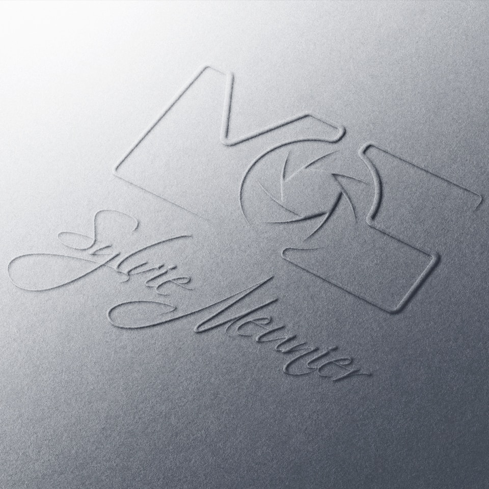 Sylvie MEUNIERのプロフィールを見る