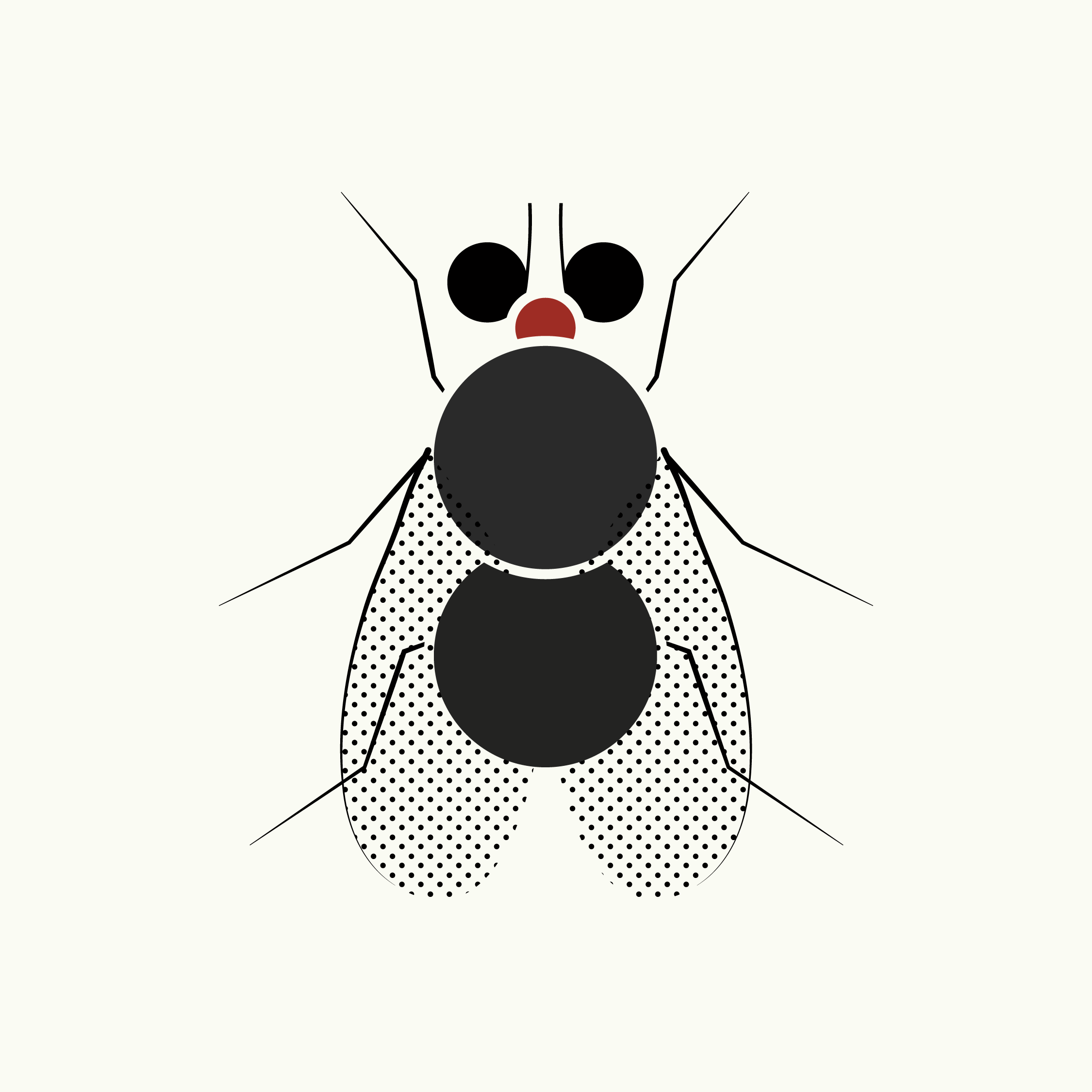 Zum Profil von Jordan Wilson