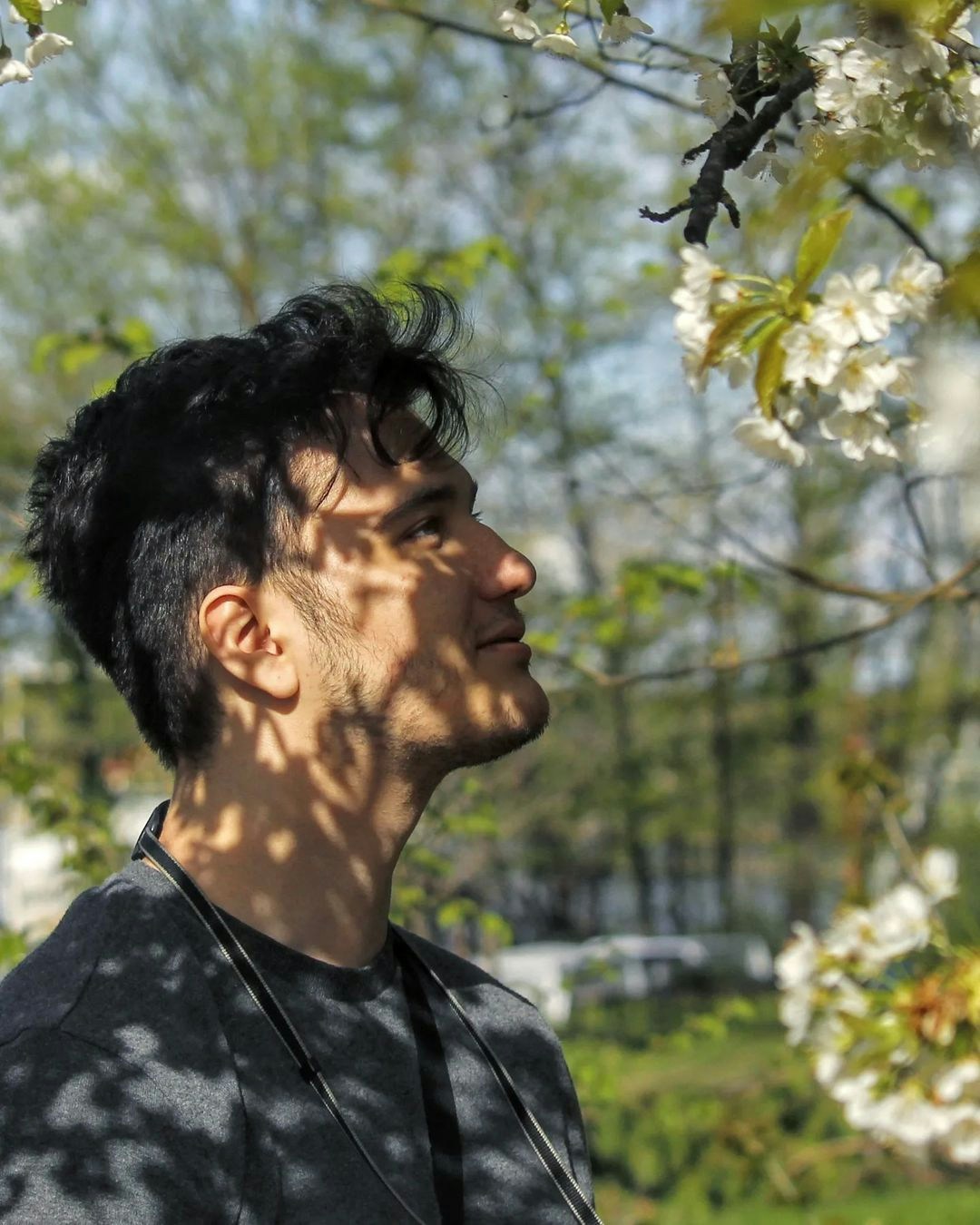 Go to Daniel Legt's profile