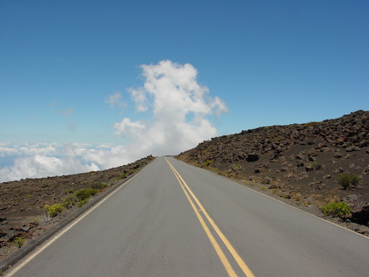 Go to DD Contact's profile